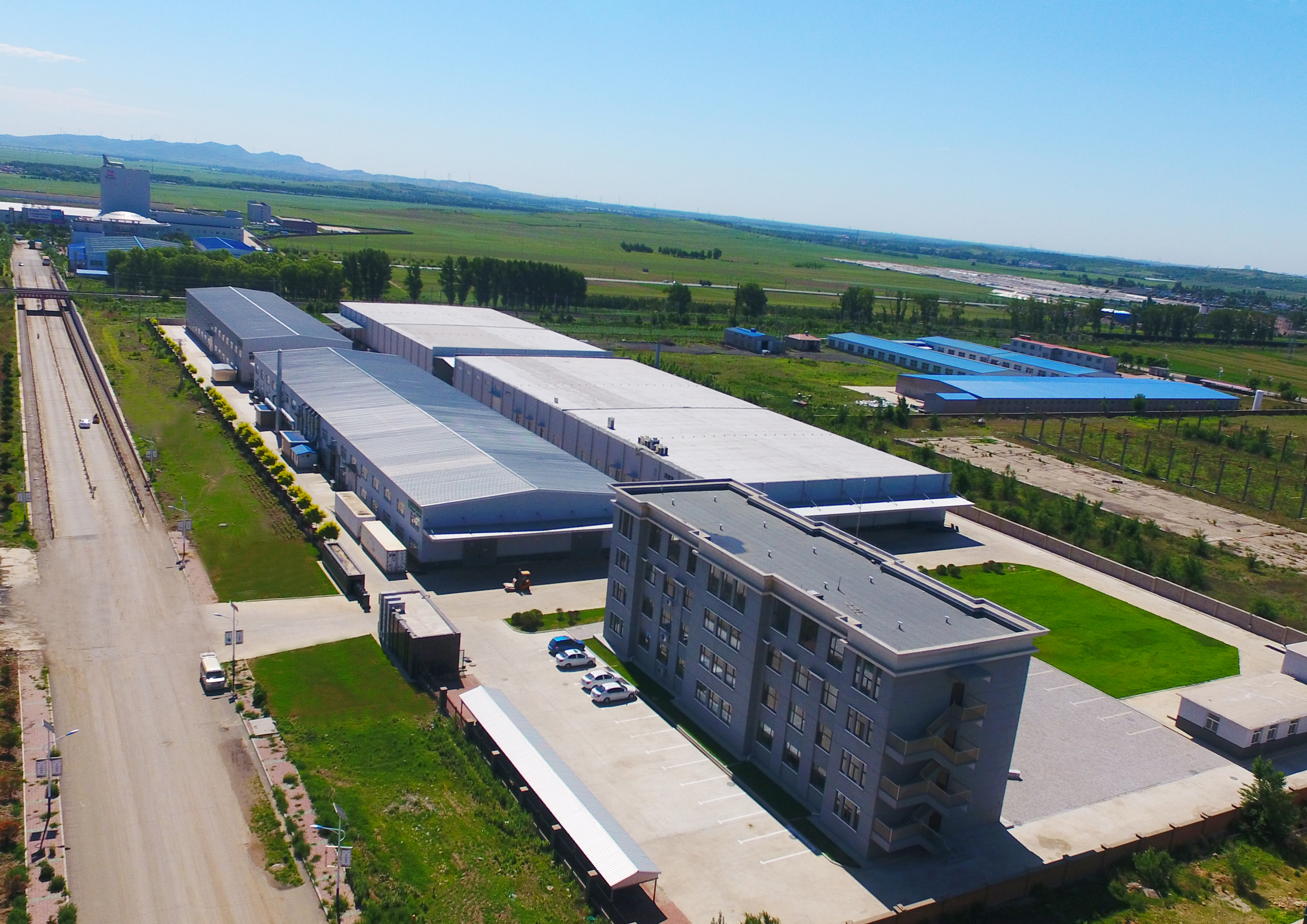 俏牌生物公司鸟撖图