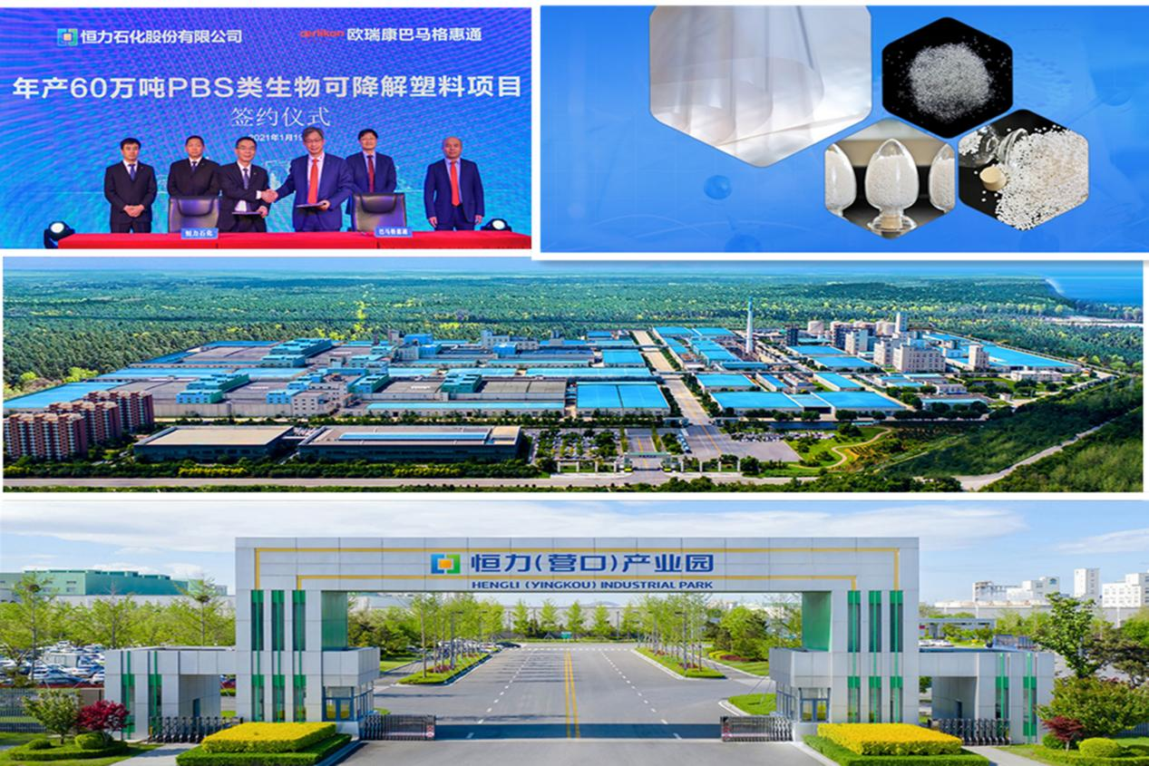 营口康辉石化有限公司年产60万吨PBS类生物可降解塑料项目